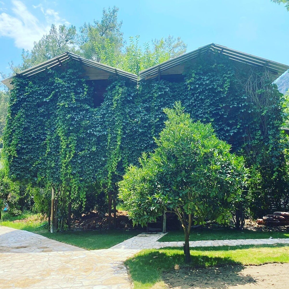Olympos Camlık Pension