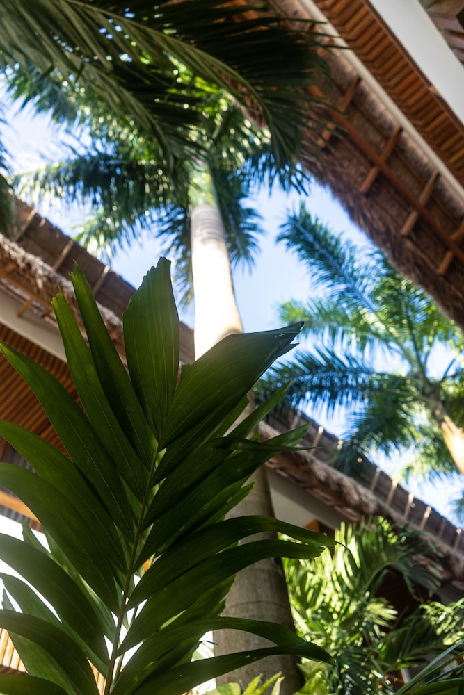 

Milano - Isla Holbox - Hotel Casa Margot