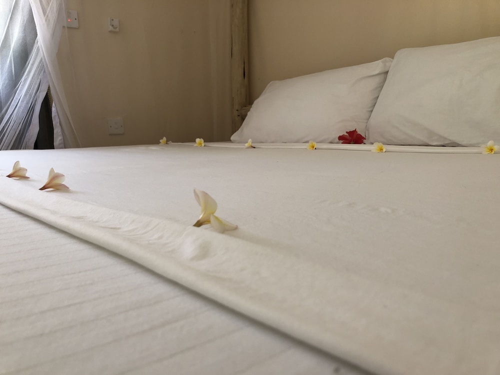 

Napoli - Paje - Blue Earth Beach Bungalows