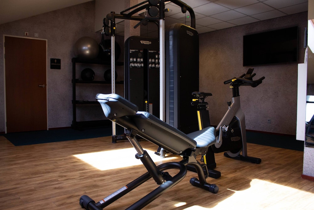 

Bologna - Haarlem - Courtyard by Marriott Amsterdam Airport
