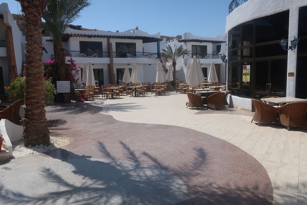 

Torino - Sharm El Sheikh - Turquoise Beach Hotel
