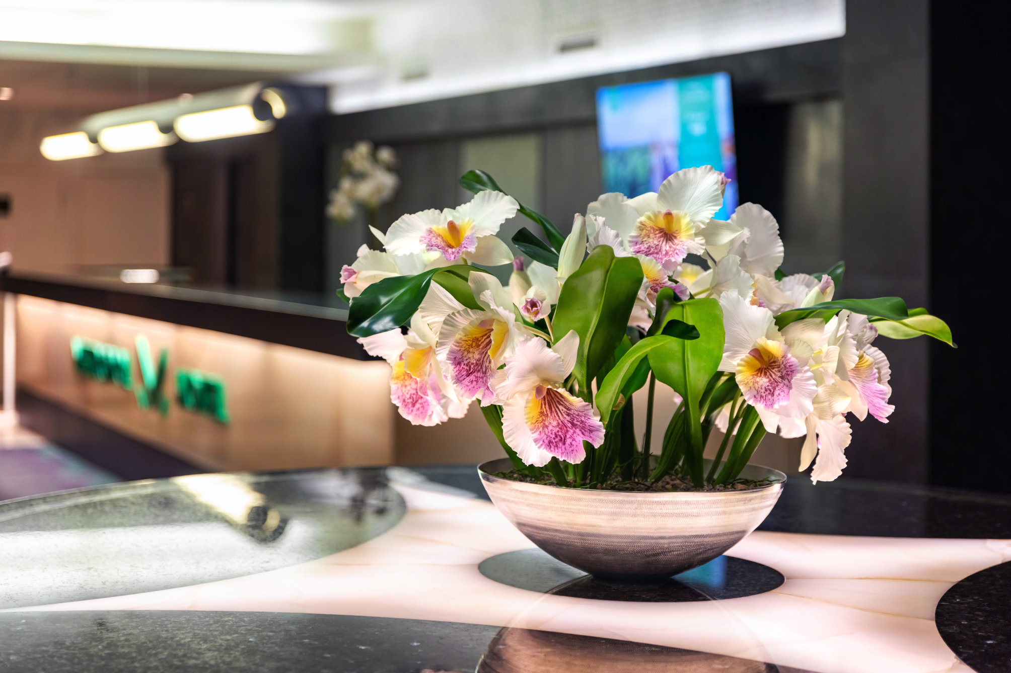 

Venezia - Tallinn - Metropol Hotel