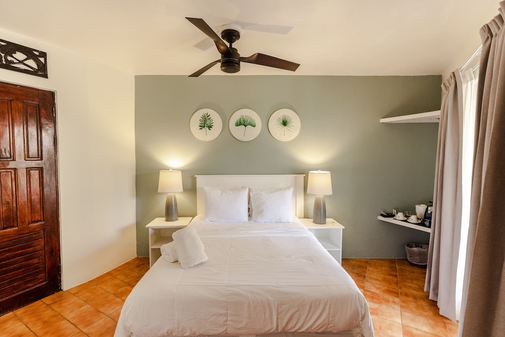 

Venezia - Tamarindo - RipJack Inn