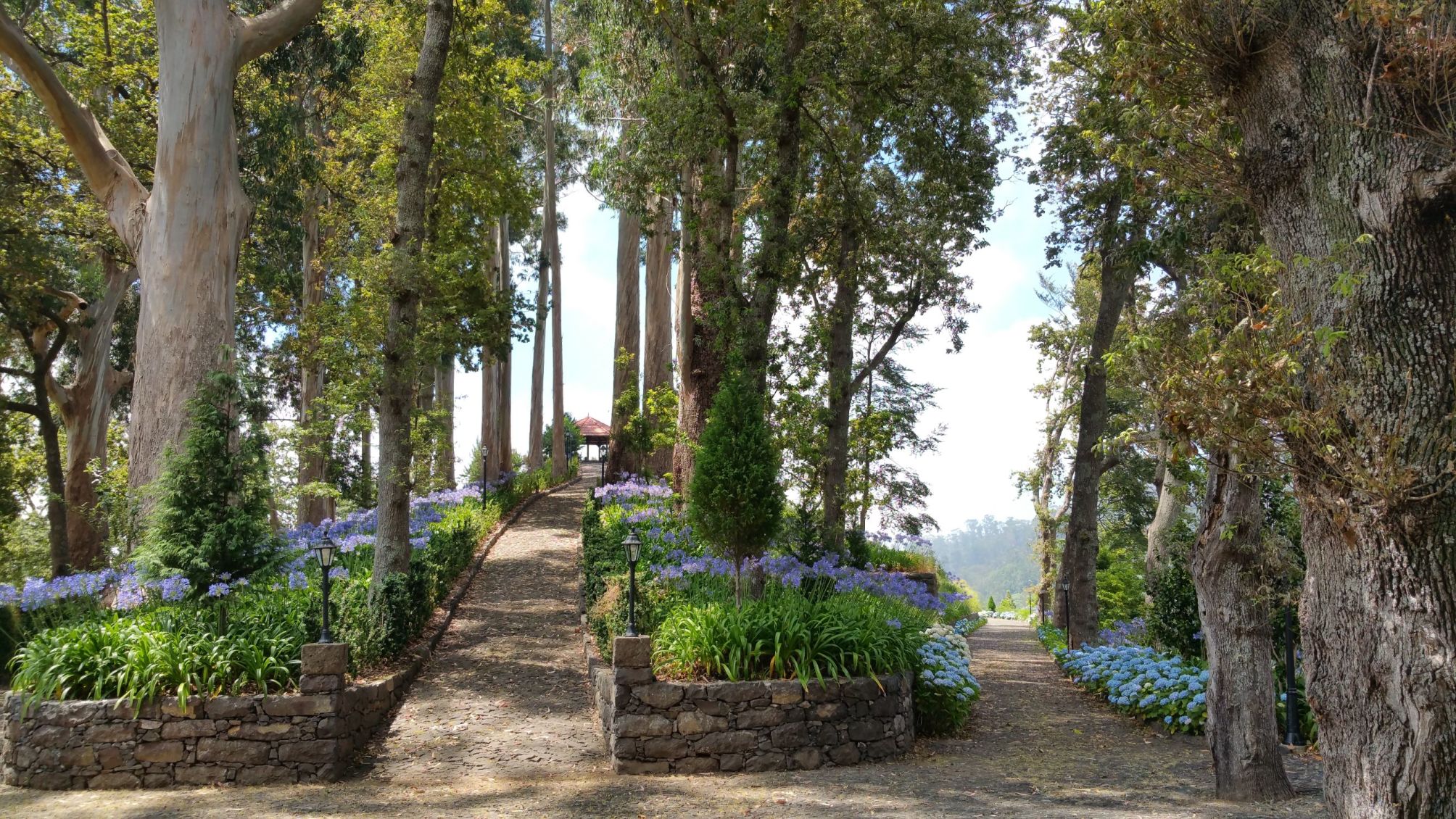 

Roma - Curral das Freiras - BIO Hotel - Hotel Quinta da Serra