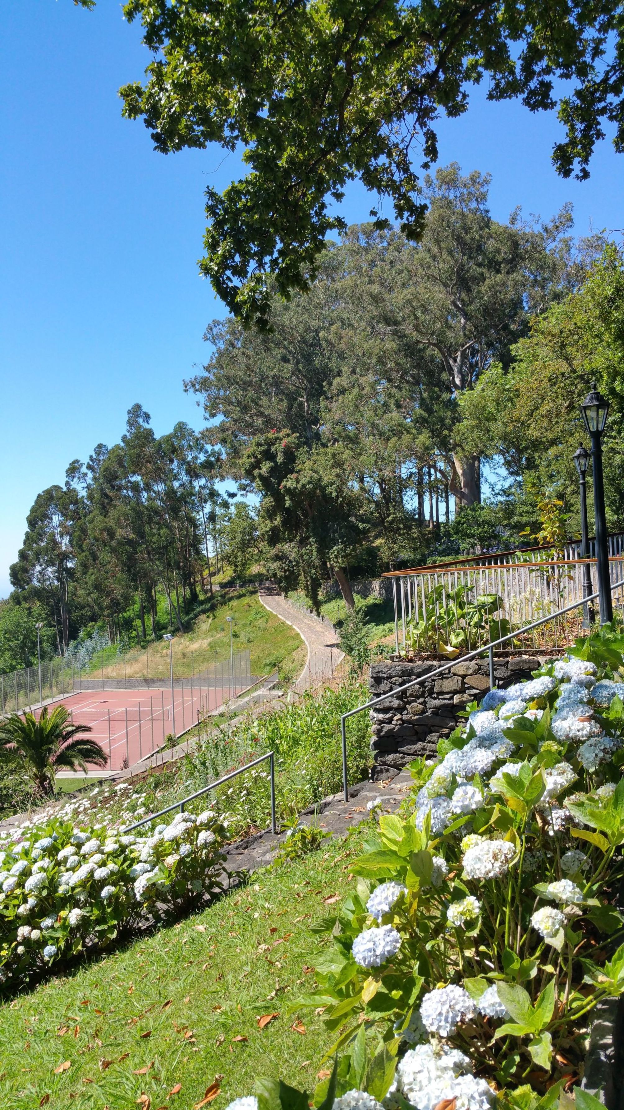 

Bologna - Ribeira Brava - BIO Hotel - Hotel Quinta da Serra