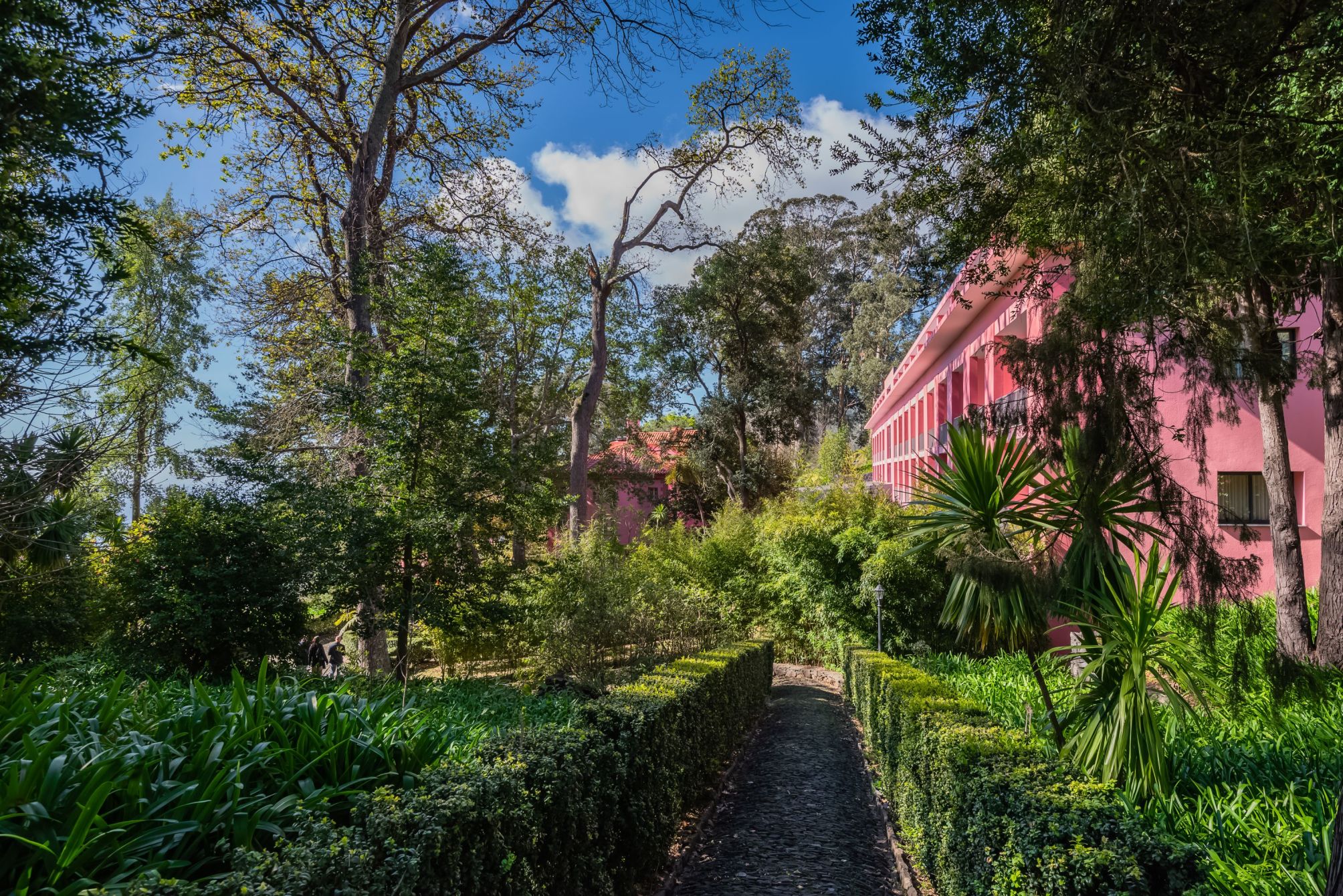 

Roma - Ribeira Brava - BIO Hotel - Hotel Quinta da Serra