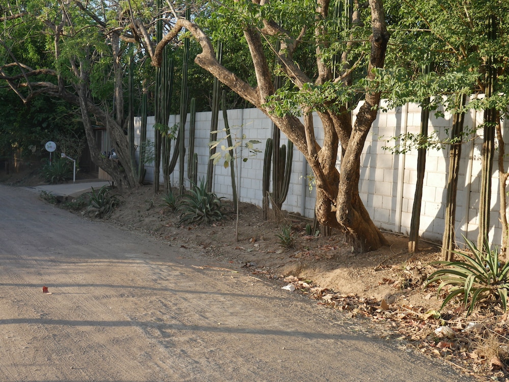 

Catania - Tamarindo - Cote Pacific Casitas