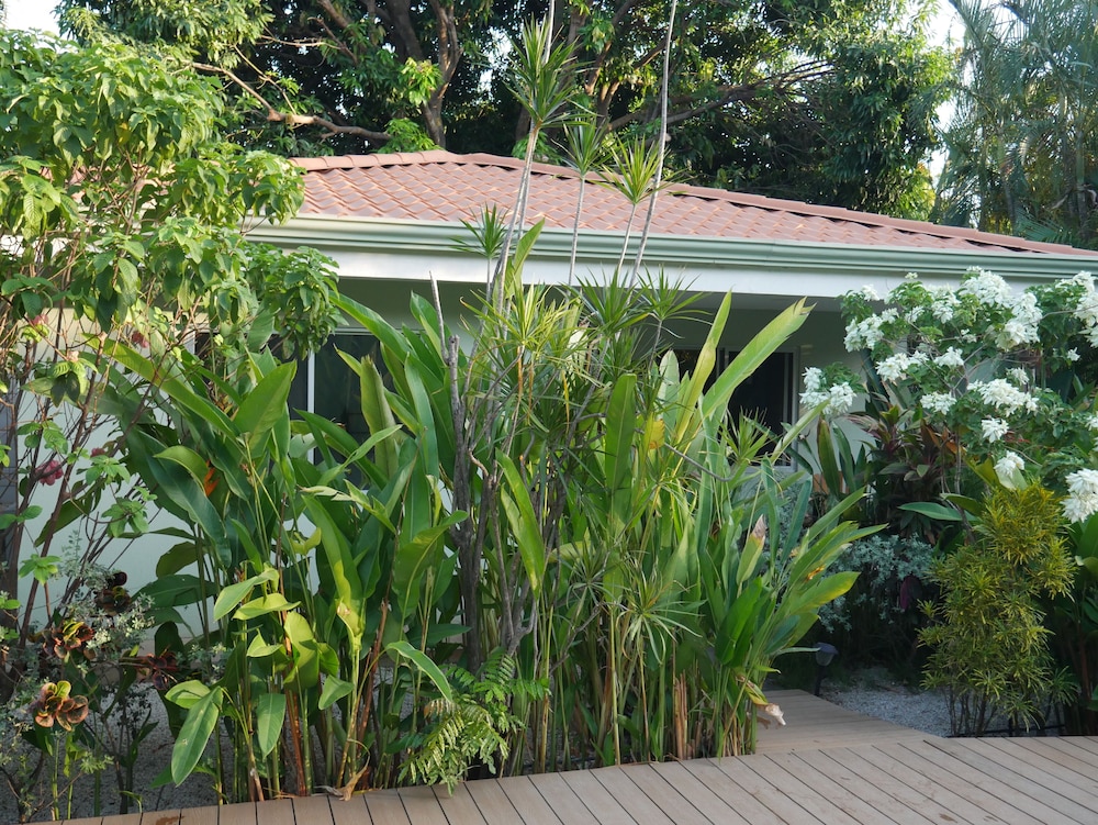 

Reggio Calabria - Tamarindo - Cote Pacific Casitas