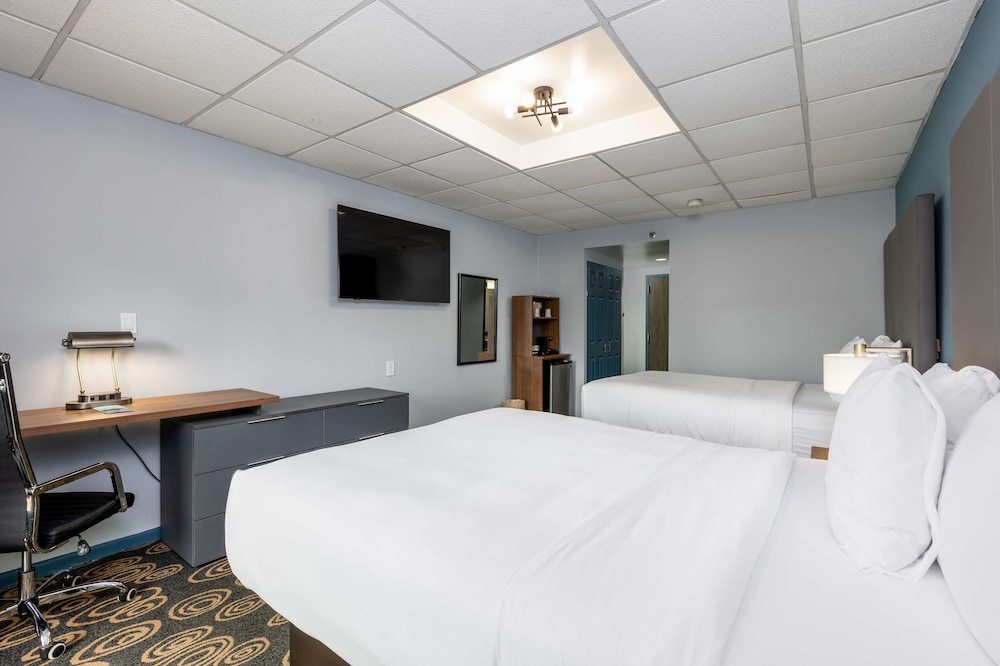 

Roma - South Miami - Regency Miami Airport by Sonesta