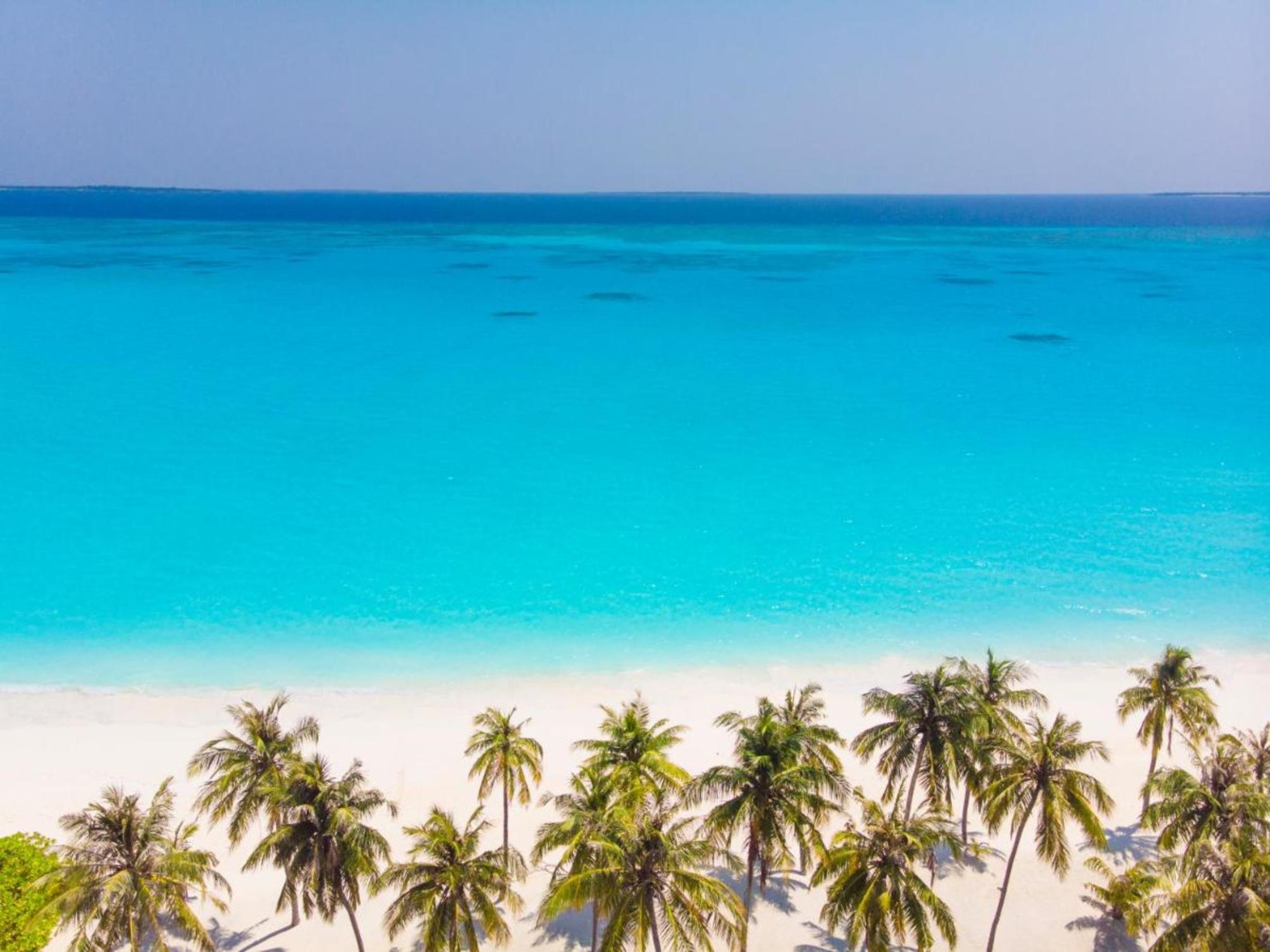 

Bari - Atollo di Haa Alif - Hondaafushi Island Resort