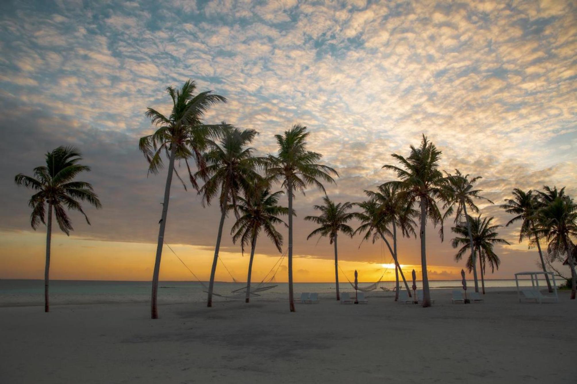 

Torino - Atollo di Haa - Hondaafushi Island Resort