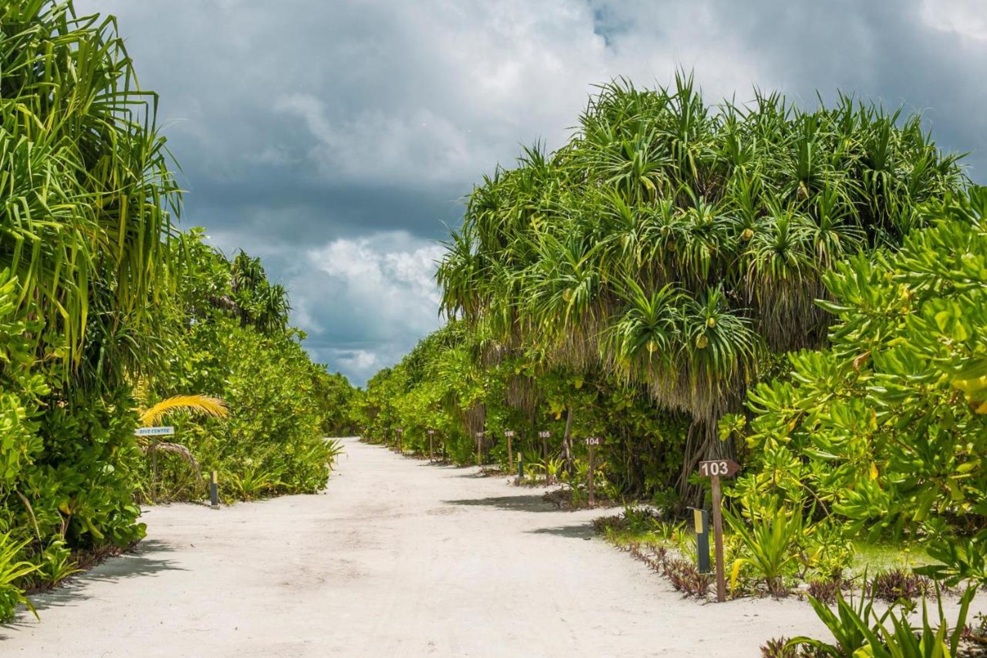

Venezia - Atollo di Shaviyani - Hondaafushi Island Resort