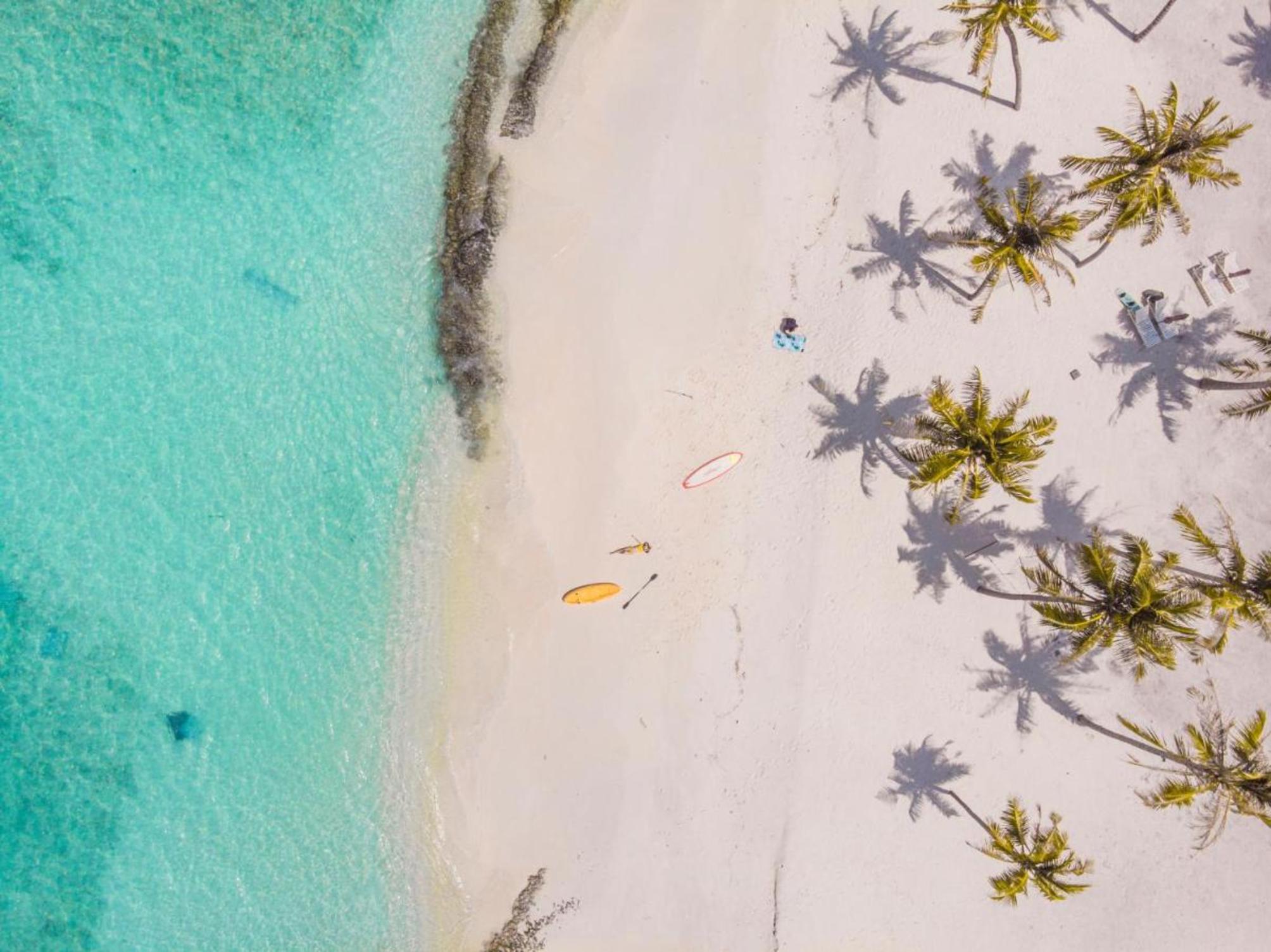 

Firenze - Atollo di Haa - Hondaafushi Island Resort