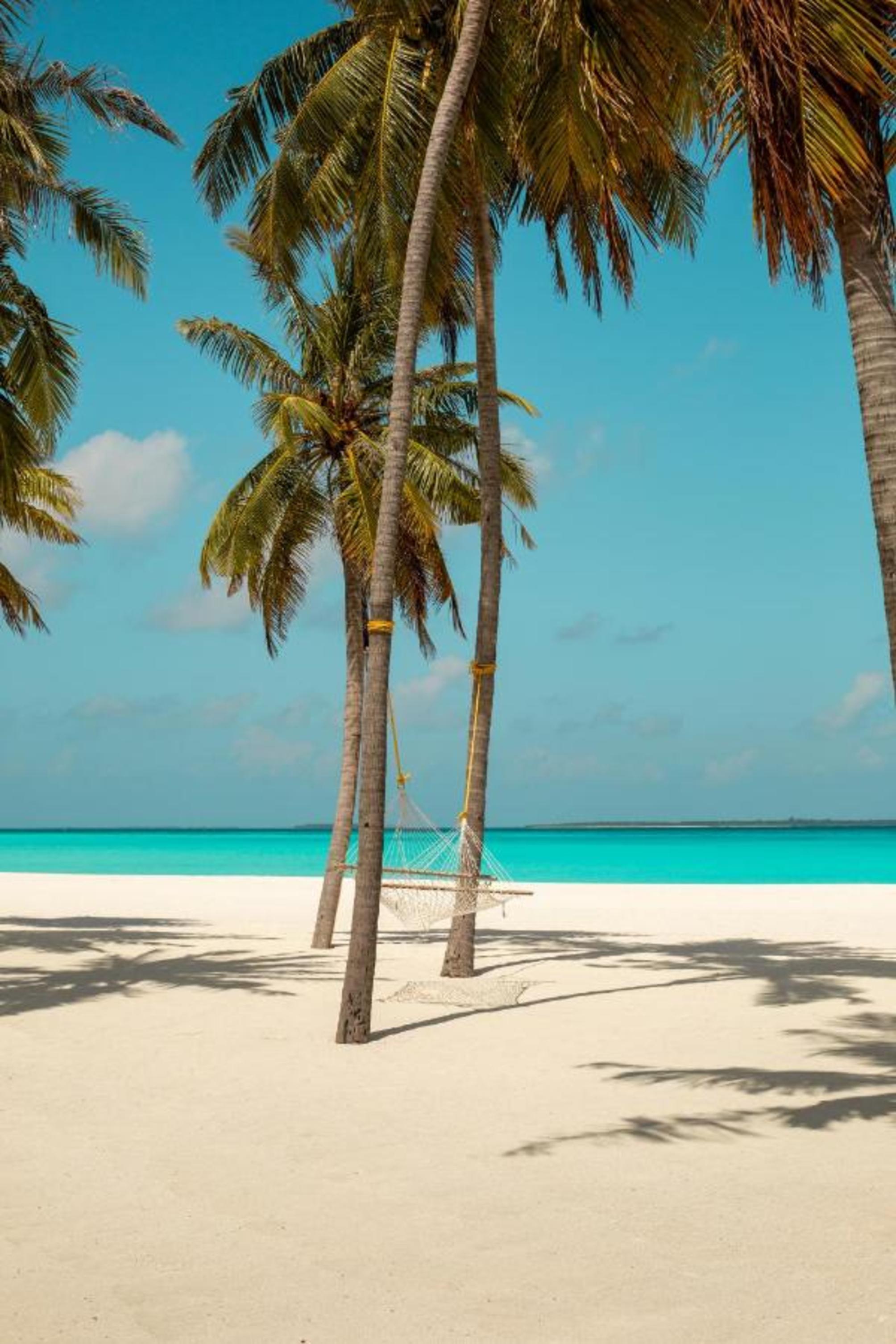 

Verona - Atollo di Haa - Hondaafushi Island Resort