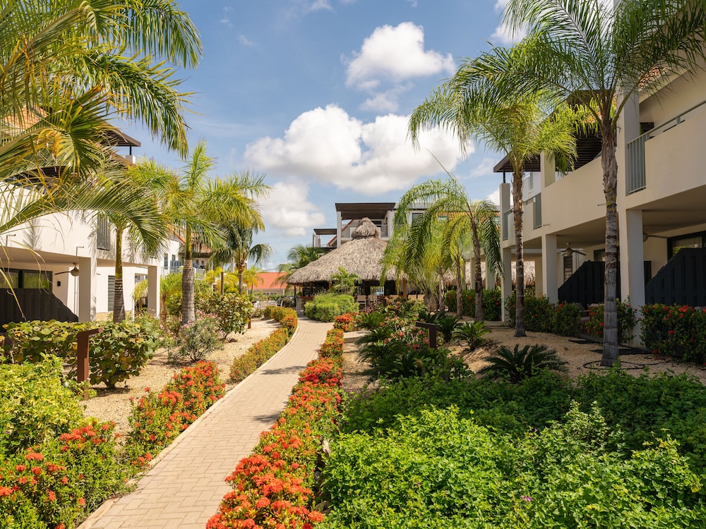 

Bologna - Kralendijk - Resort Bonaire