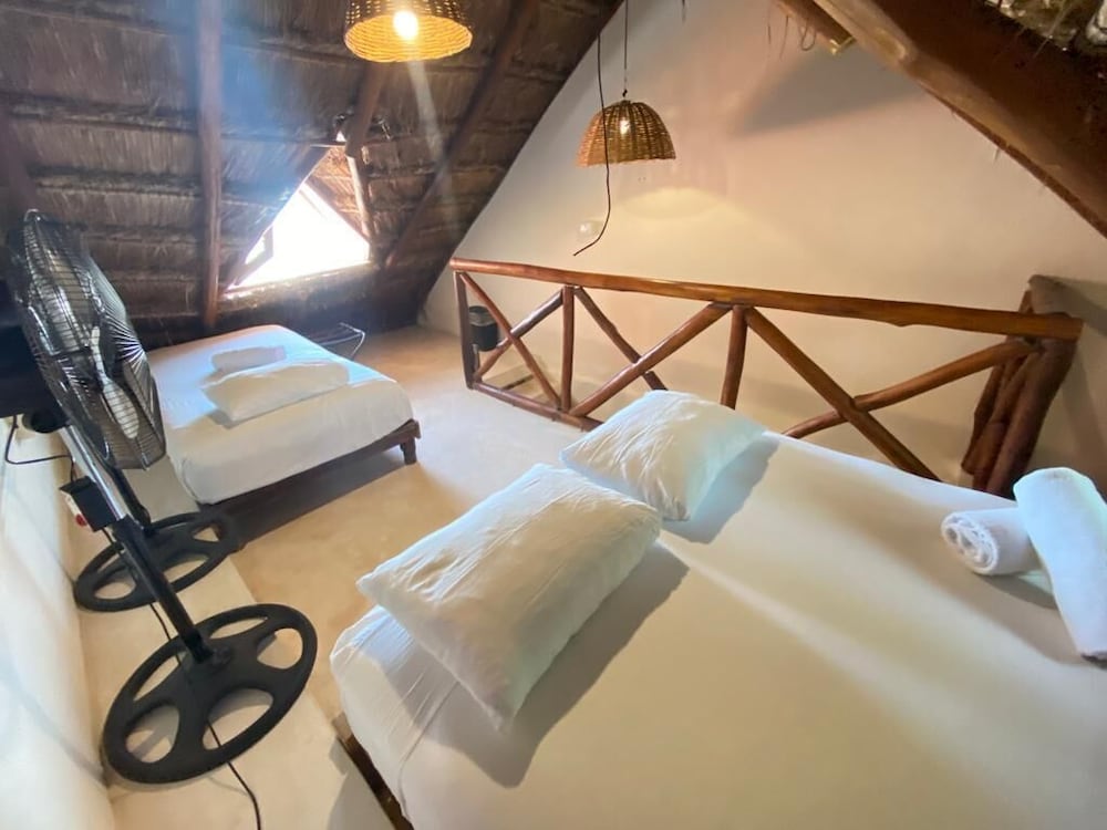 

Venezia - Isla Holbox - La Constanza de Rulo