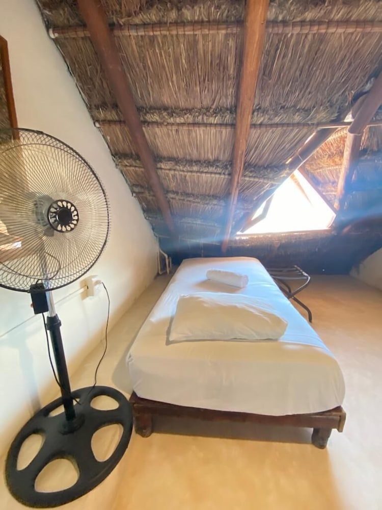 

Bari - Isla Holbox - La Constanza de Rulo