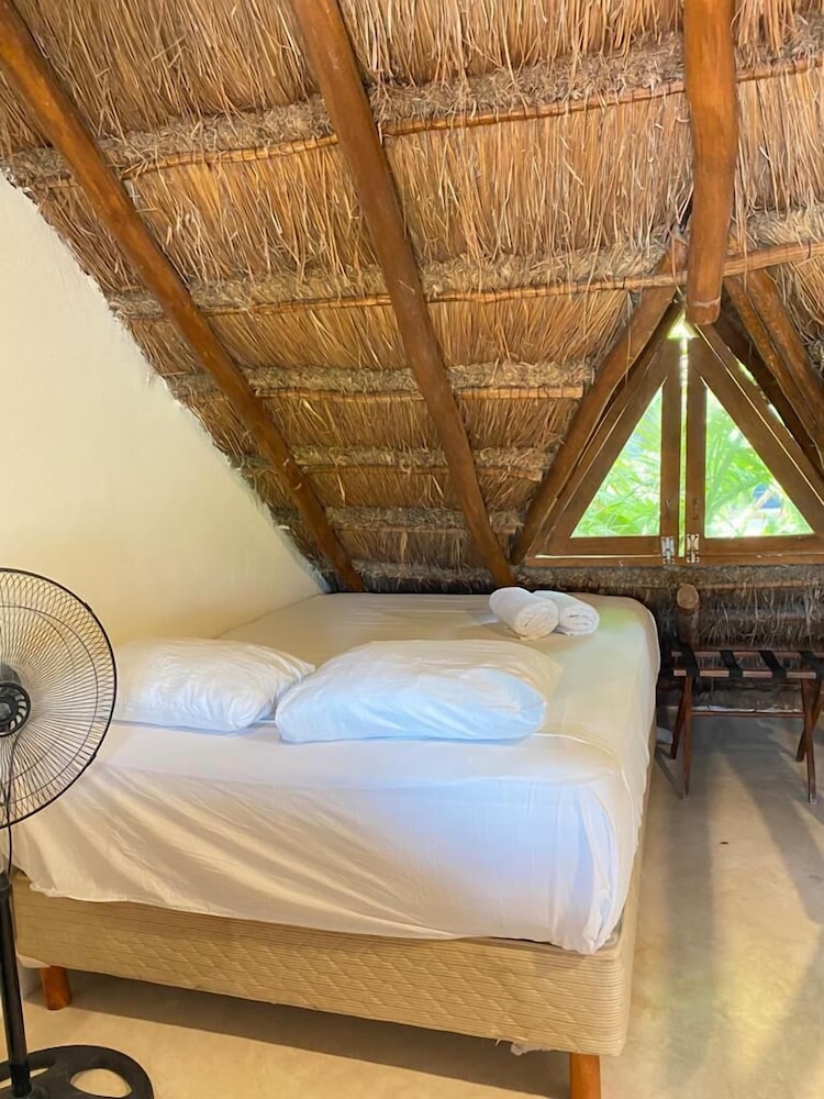 

Napoli - Isla Holbox - La Constanza de Rulo