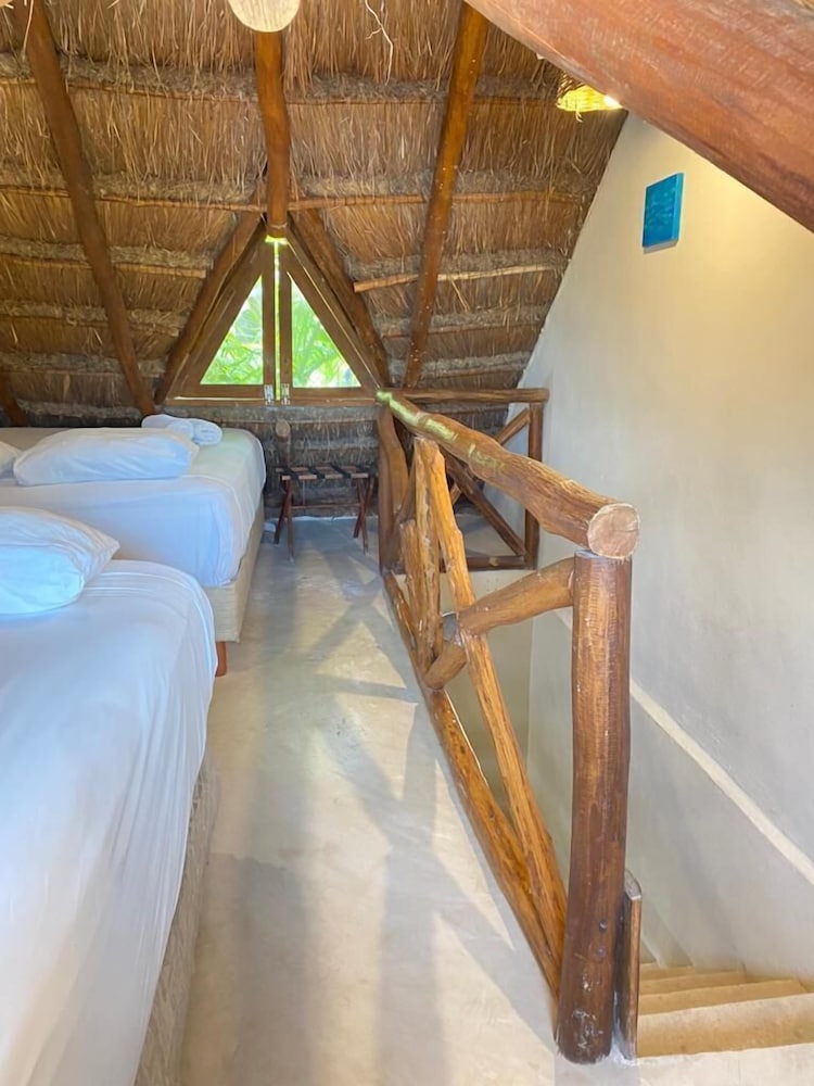 

Torino - Isla Holbox - La Constanza de Rulo