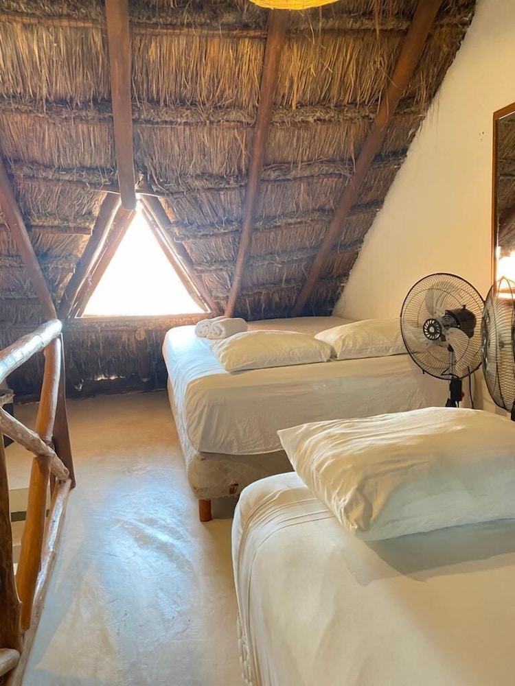 

Bari - Isla Holbox - La Constanza de Rulo
