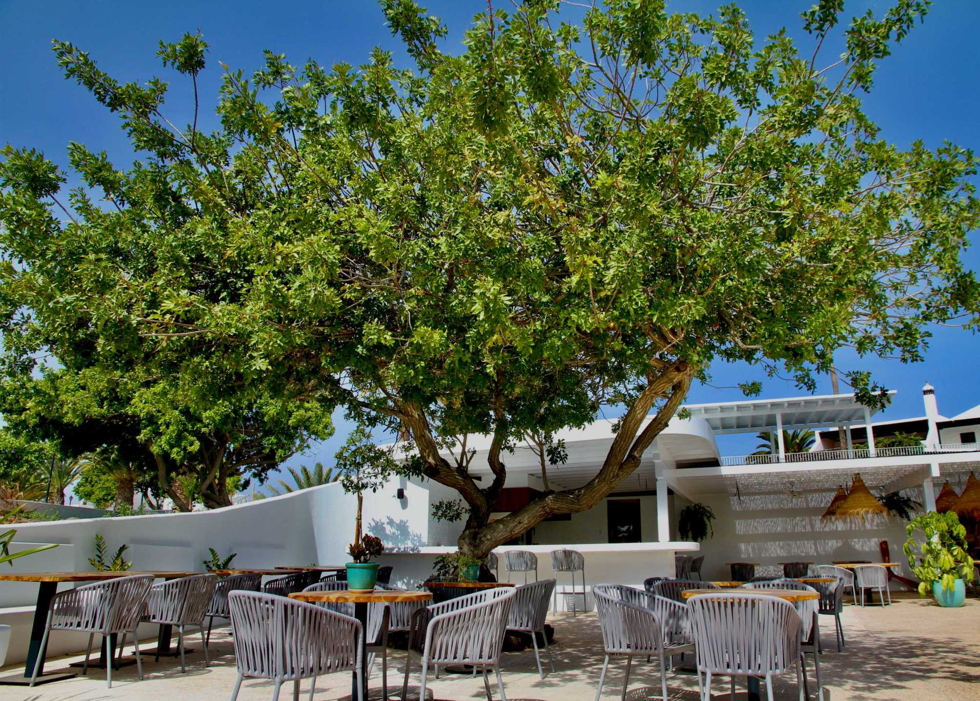 

Venezia - Lanzarote, Isole Canarie - Casas Heddy, Well-being Resort