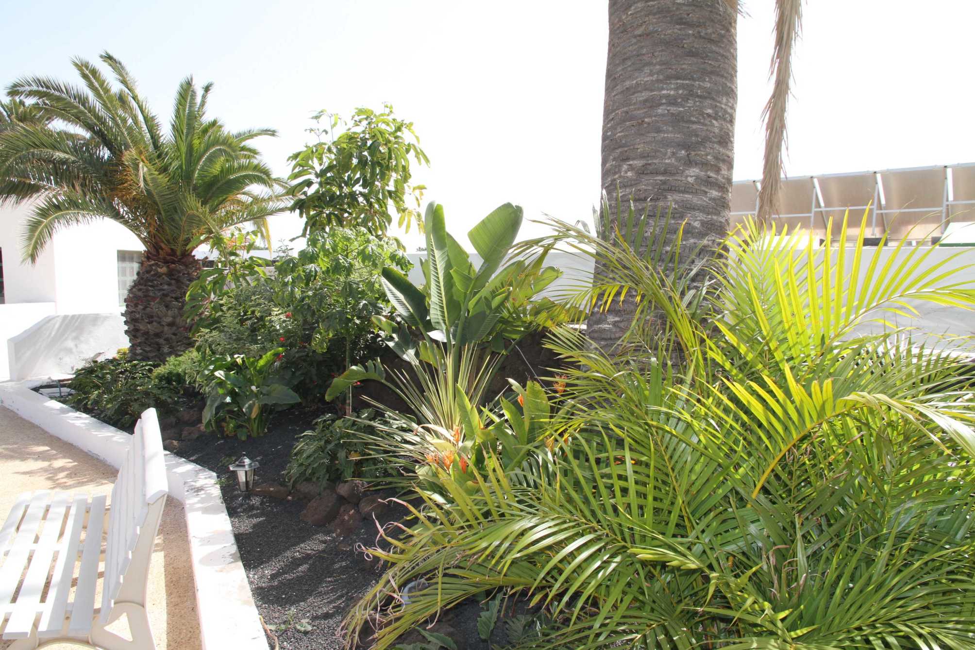 

Roma - Playa Quemada - Casas Heddy, Well-being Resort