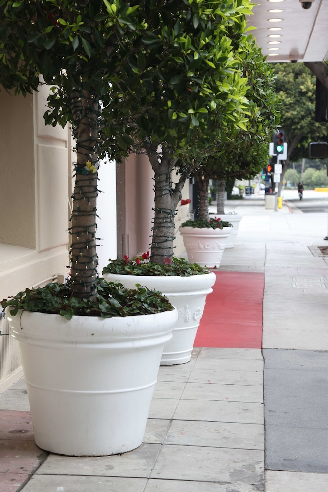 

Roma - Santa Monica - Hotel Carmel Santa Monica
