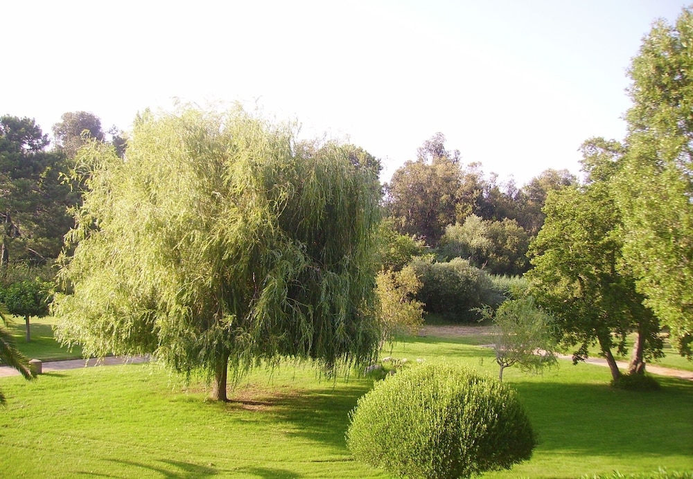 

Milano - Favone - Hotel Olmuccio