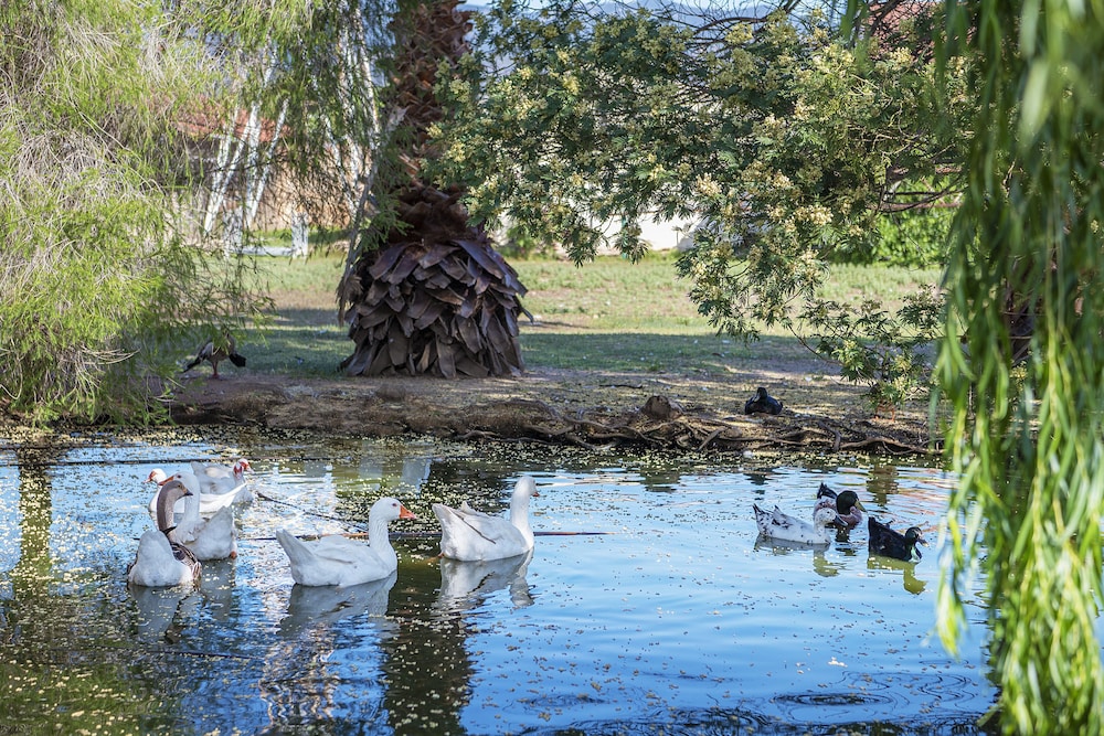 

Ancona - Chia - Hotel Rurale Orti di Nora & SPA