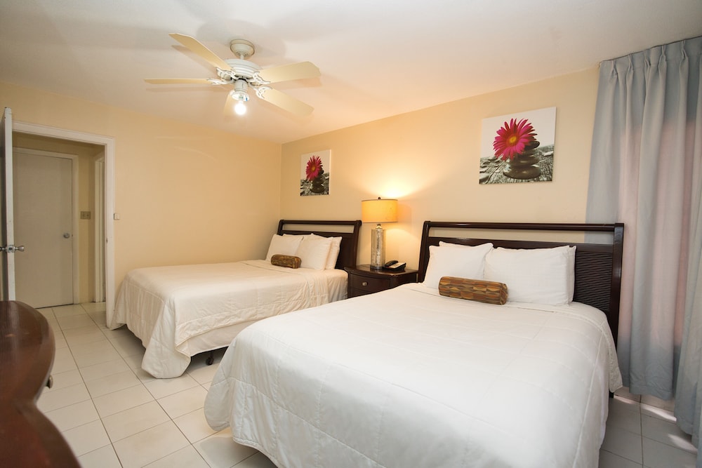 

Roma - Antille e Isole Vergini, Caraibi - Horizon View Beach Hotel