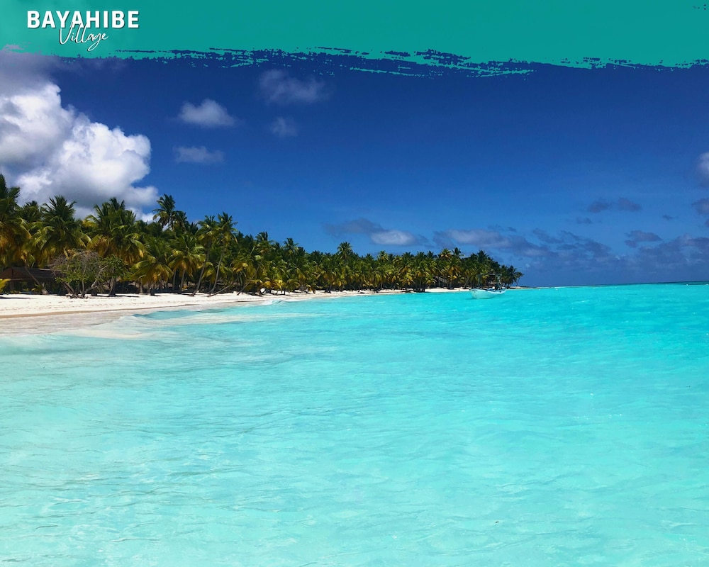 Hamburg - Bayahibe - Tribe Inn & Rooftop lounge