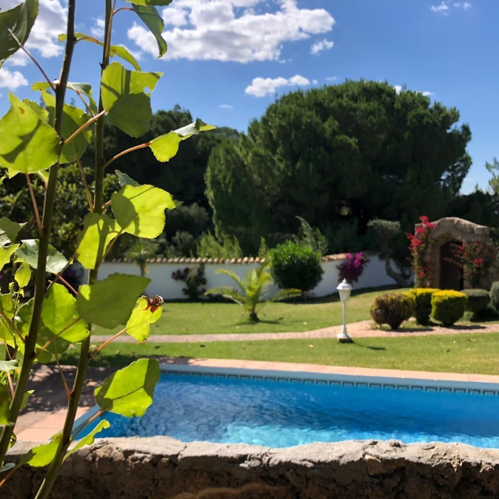 

Roma - Alhaurín el Grande - Tottam Art & Healthy Garden