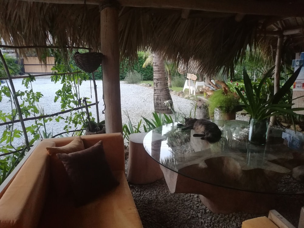 

Milano - Las Terrenas - Residencia El Balata