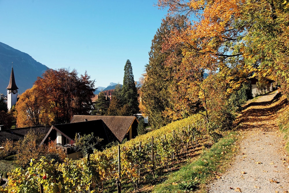 

Roma - Alpi Svizzere, Svizzera - Jungfrau Hotel Annex Alpine Inn