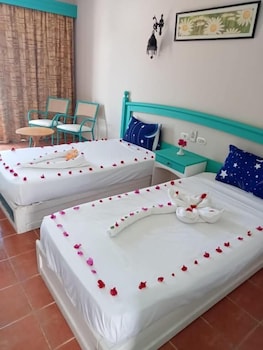 

Lamezia Terme - Sharm El Sheikh - Badawia Sharm Resort