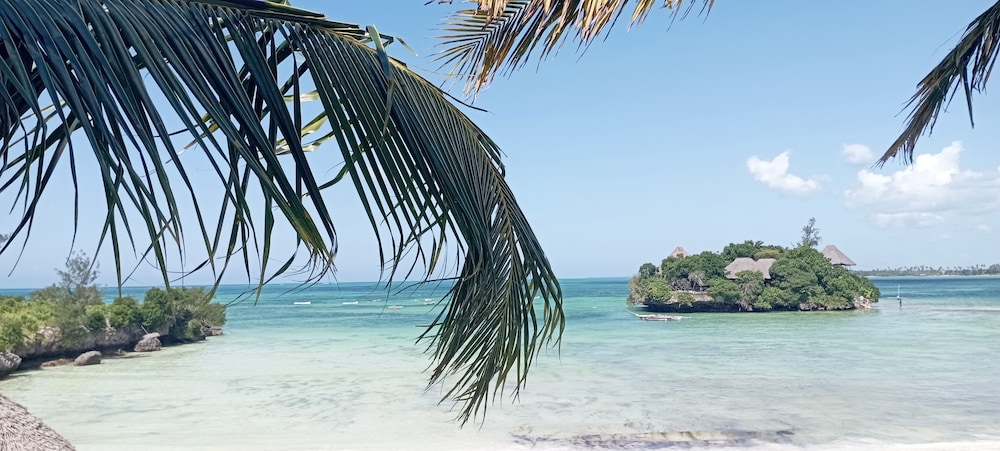

Roma - Kiwengwa - Coral Bay Zanzibar