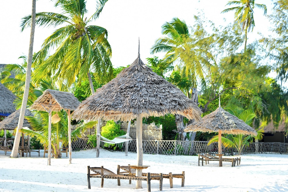 

Bologna - Kiwengwa - Coral Bay Zanzibar