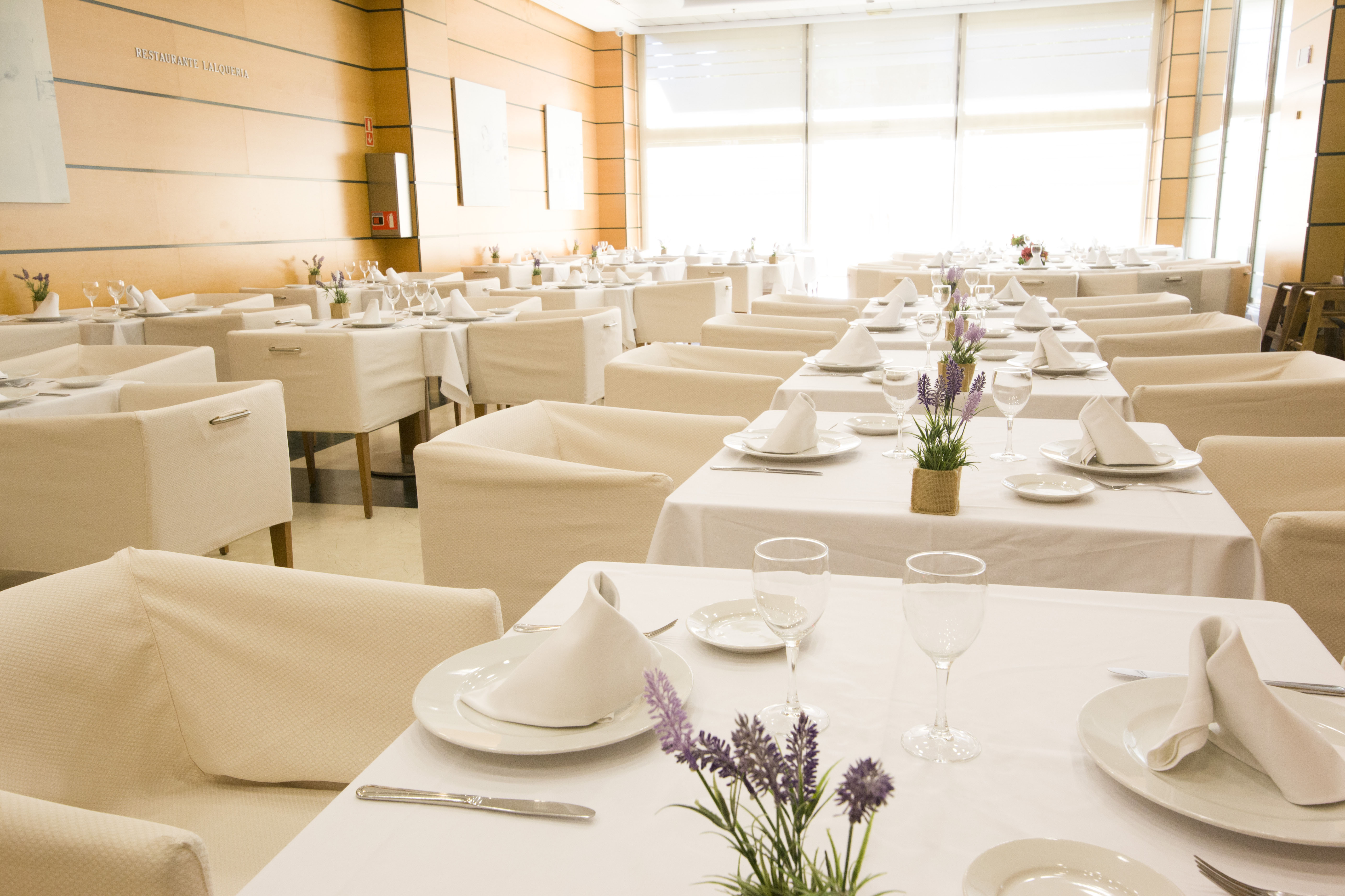 

Lamezia Terme - Valencia - Aparthotel Albufera