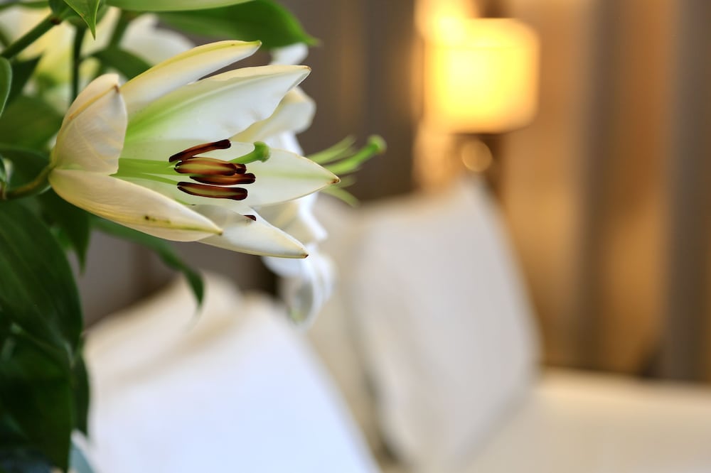 

Roma - Rho (Fiera) - Klima Hotel Milano Fiere