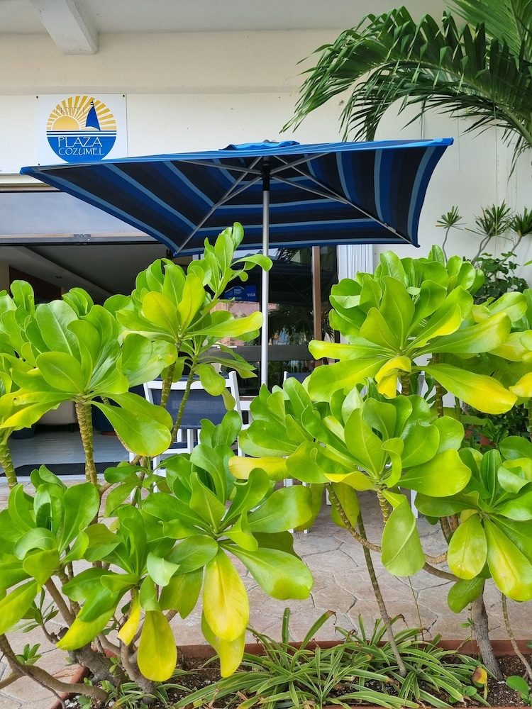 

Napoli - Cozumel - Hotel Plaza Cozumel
