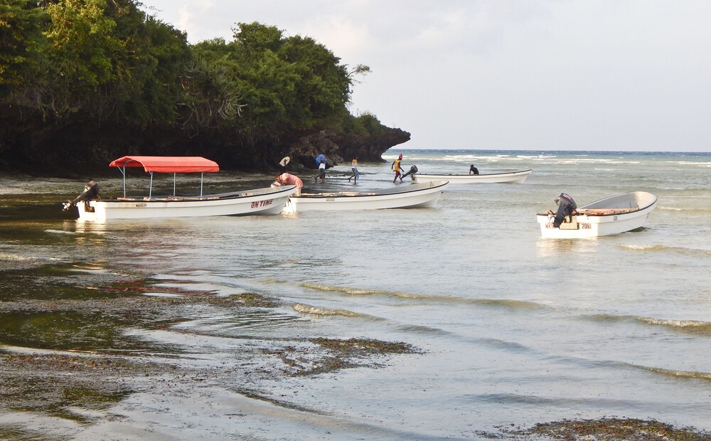 

Bari - Kizimkazi - Bella Vista Resort Zanzibar