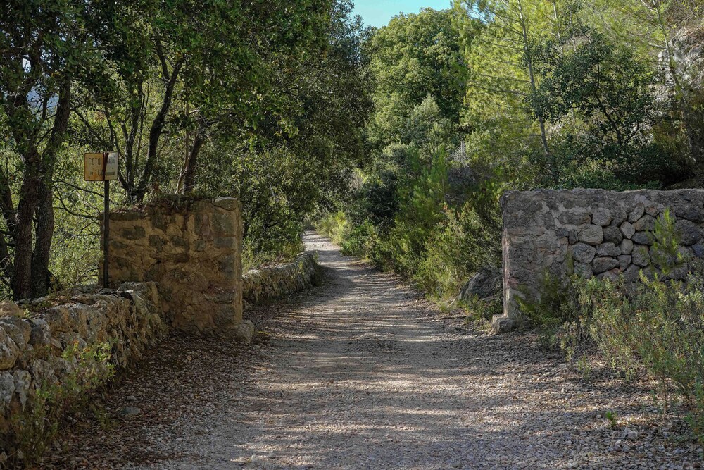 

Roma - Selva - Hotel Rural S'Olivaret & Spa