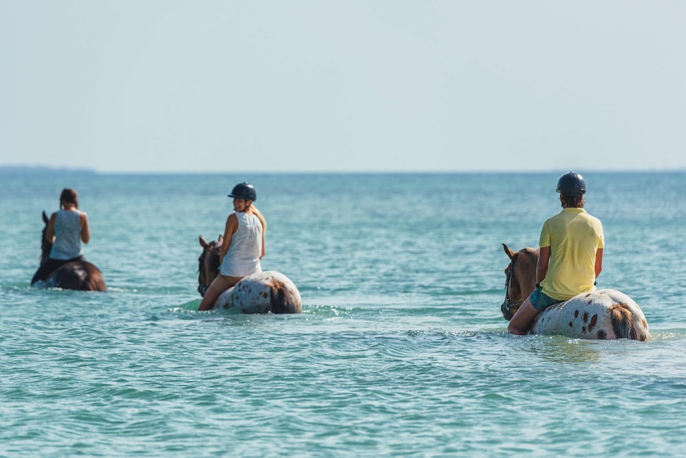 

Bologna - Mangapwani - Sea Cliff Resort & Spa