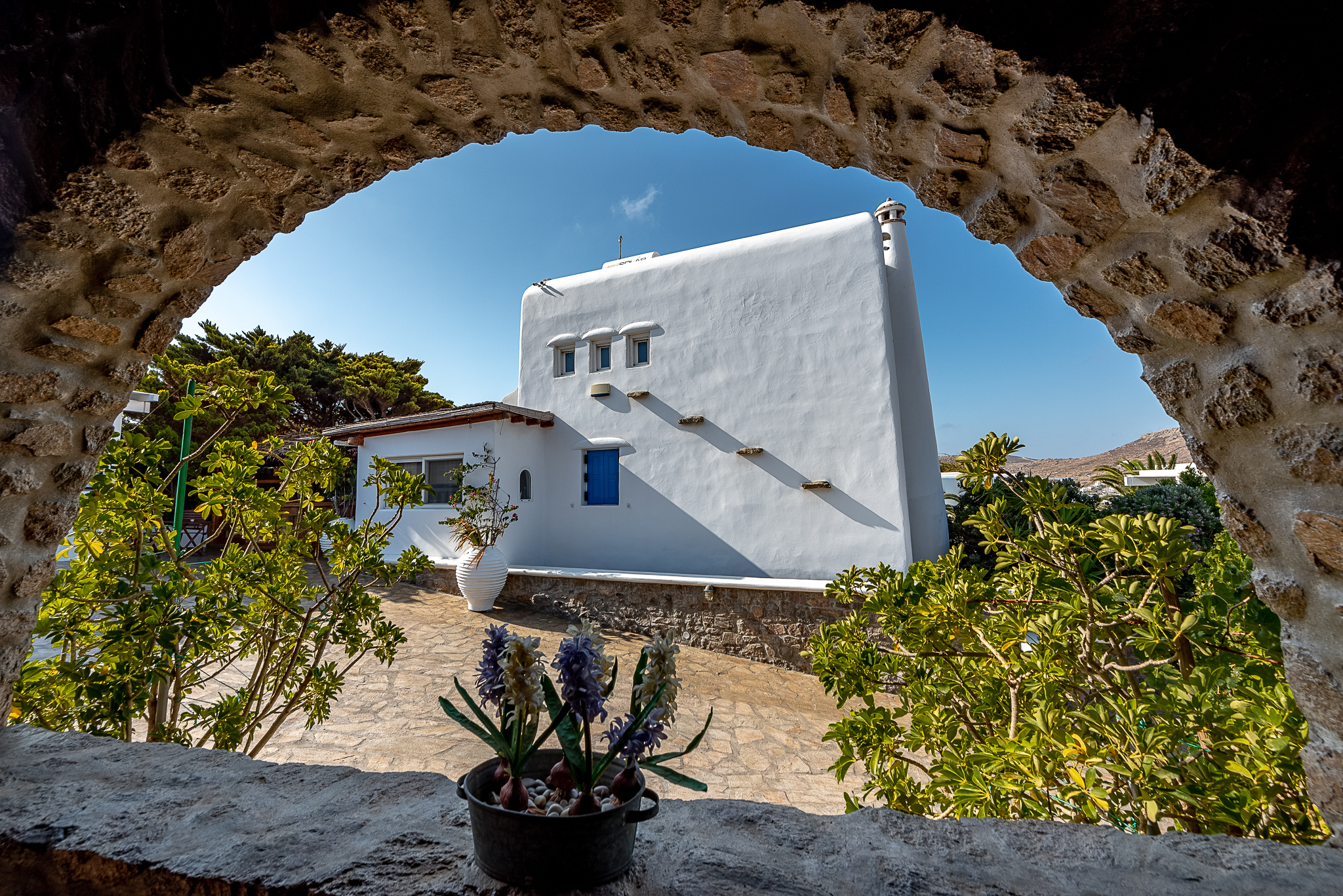 

Roma - Ftelia - Mykonian Iros
