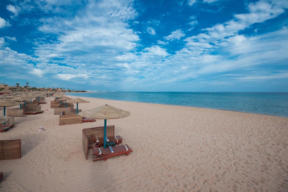 

Bari - Safaga - Shams Safaga Resort