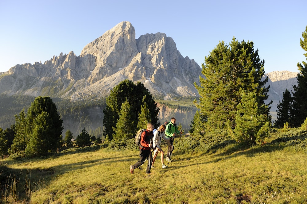 

Venezia - Luson - Ütia de Börz Mountain Lodge
