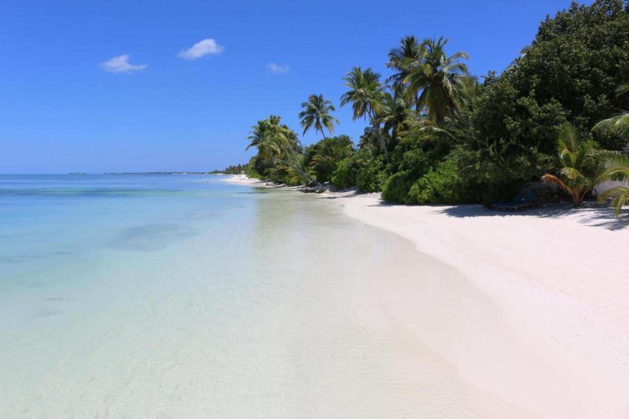 

Brindisi - Atollo di Addu - Canareef Resort Maldives