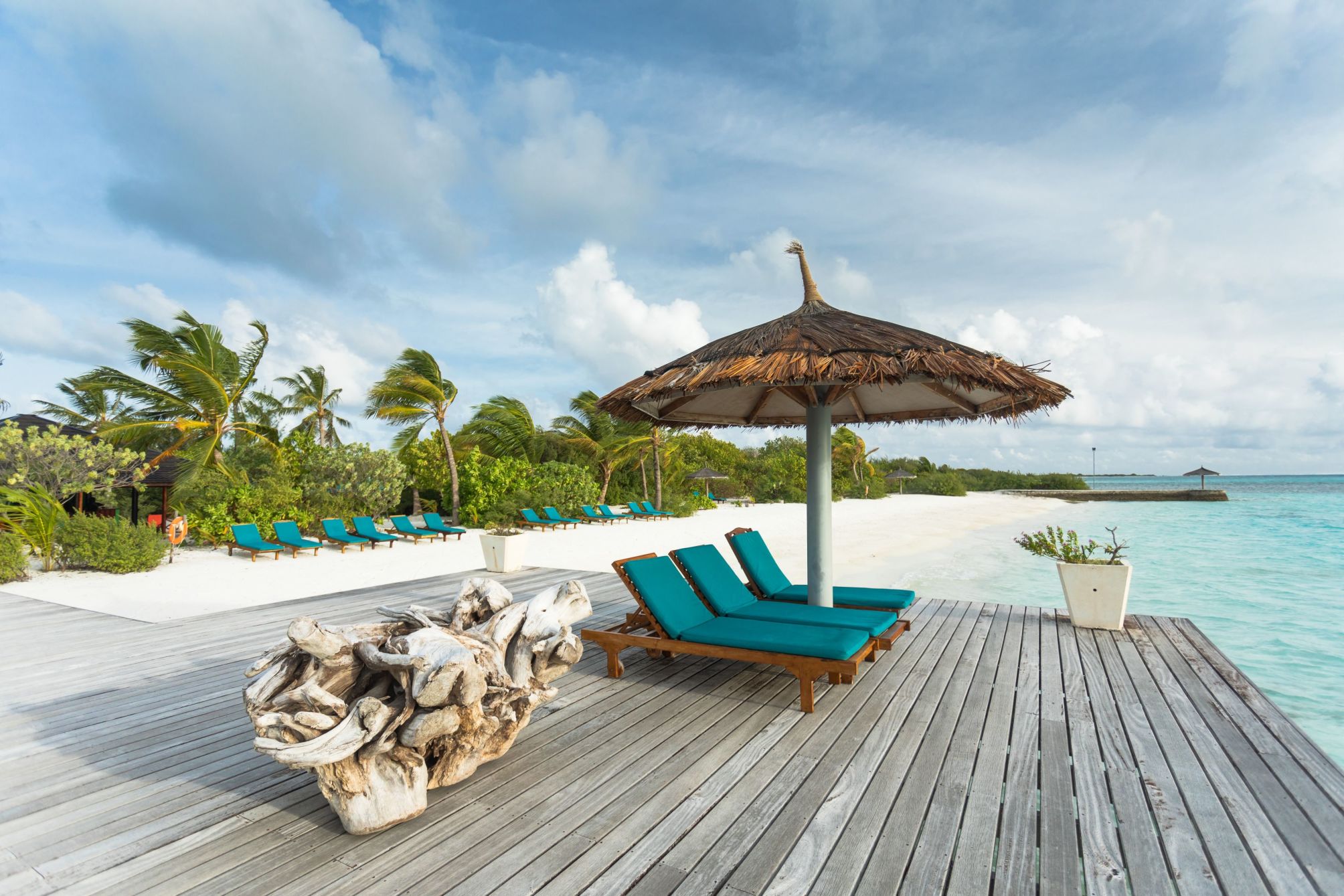 

Olbia - Atollo di Addu - Canareef Resort Maldives