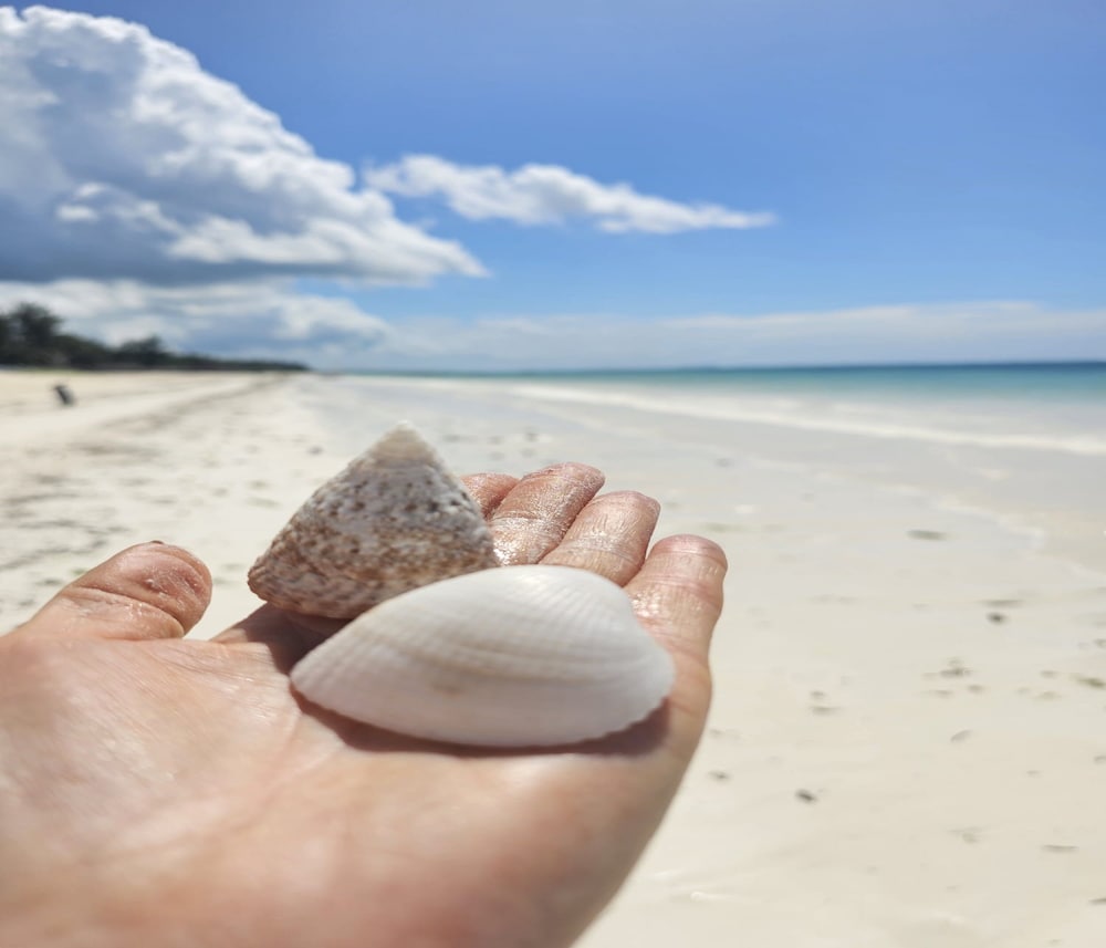 

Venezia - Matemwe - La Perla Beach Resort, Zanzibar - Your Beachfront Private Haven