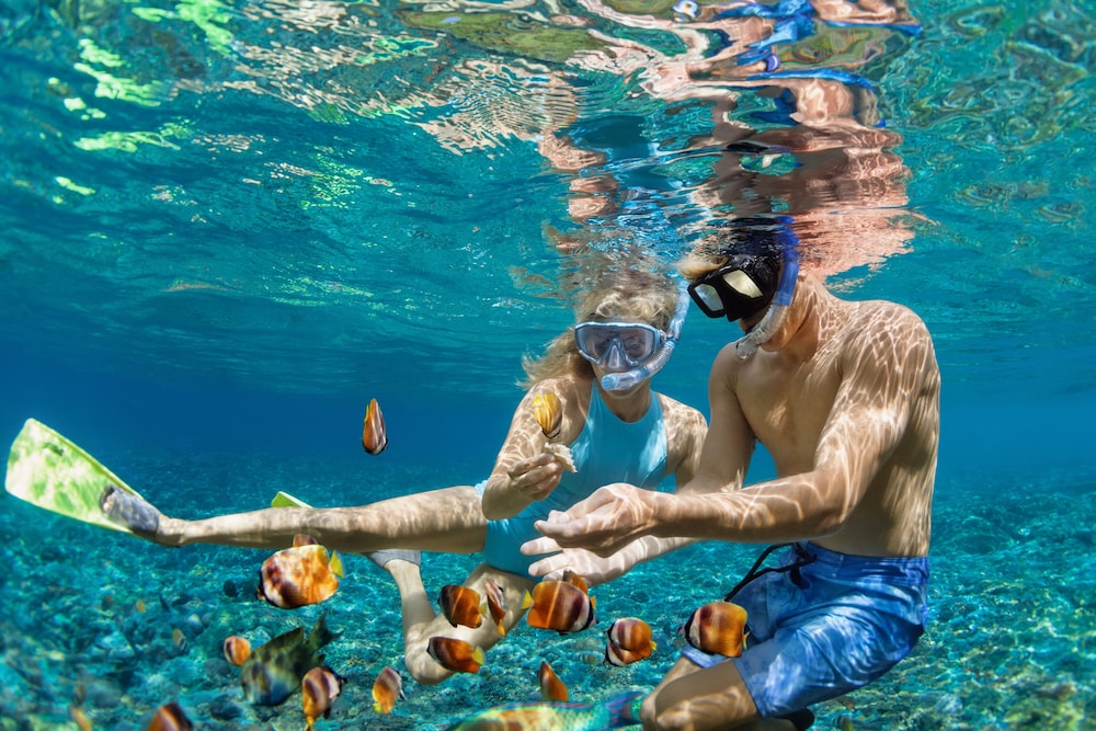 

Bologna - Giamaica, Caraibi - Legends Beach Resort